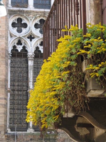 Flowered Balcony