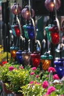 Coloured Lamps