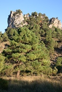 Sierra de Alcarz