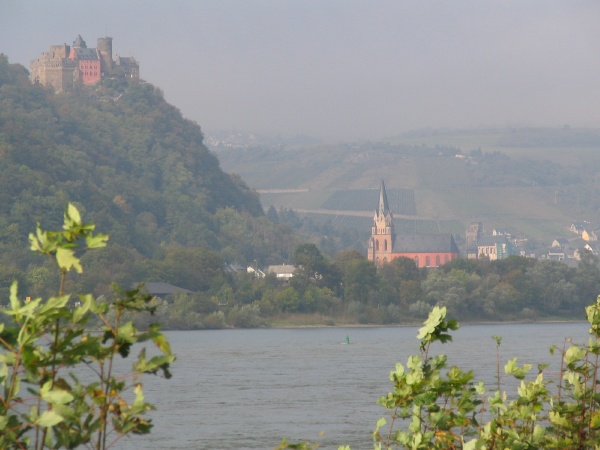Castle in the Rhein Valley