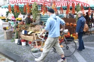 Mainz Market Scene
