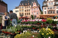 Mainz market