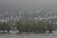 River Rhine in Rdesheim