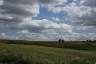 Algarvian Landscape