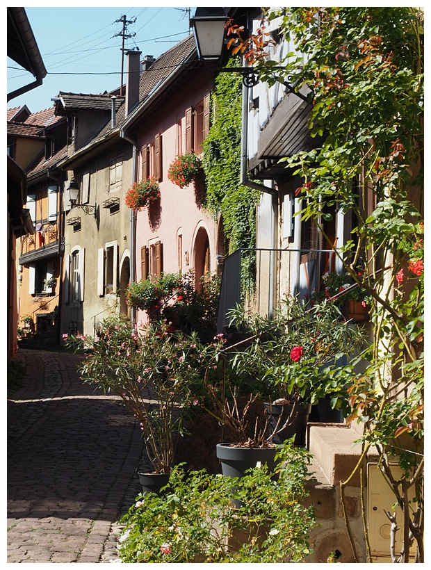 Eguisheim