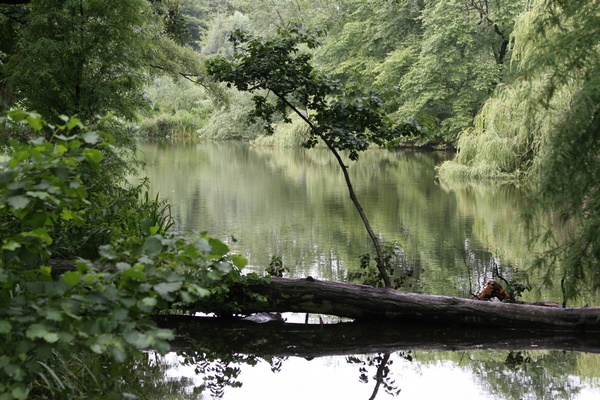 Vondelpark