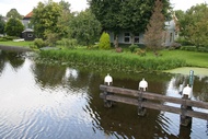 Bridge at Broek in Waterland