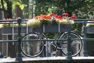 Flowerd Bike
