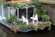 Flowers on the Boat
