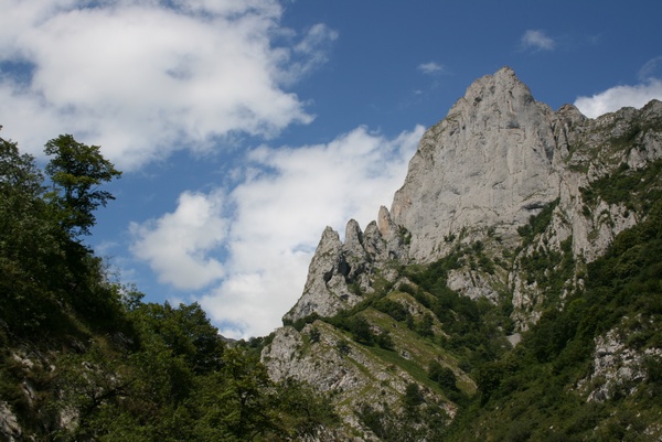 Picos de Europa