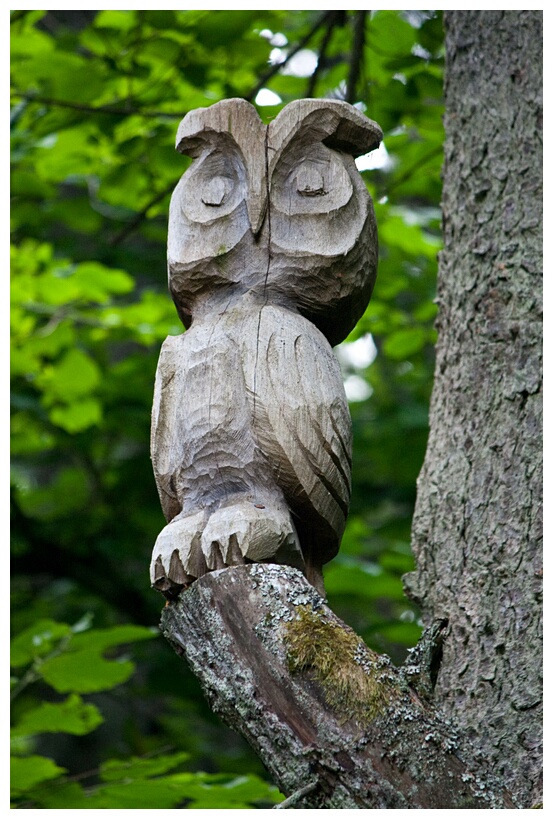 Wooden Owl