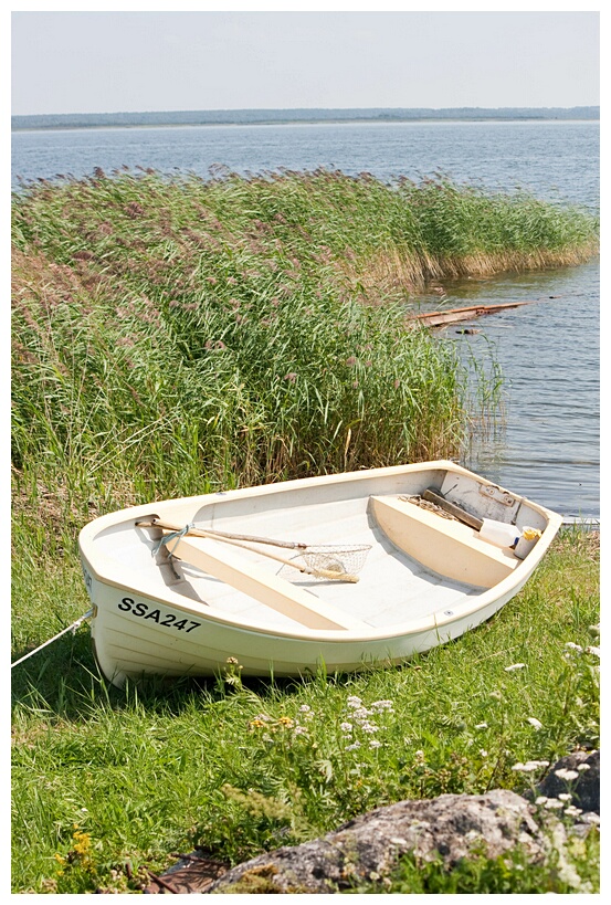 White Boat