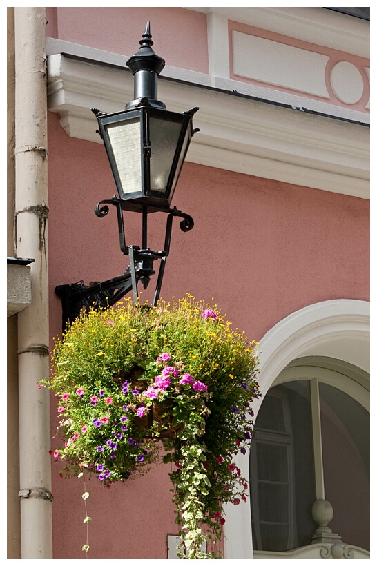 Streetlamp with Flowers