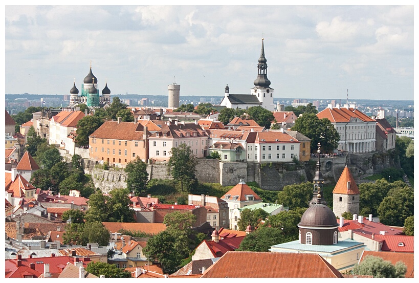 View from St. Olav's Church