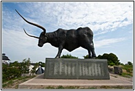 Rakvere's Bull