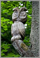 Wooden Owl