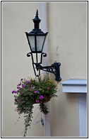 Streetlamp with Flowers