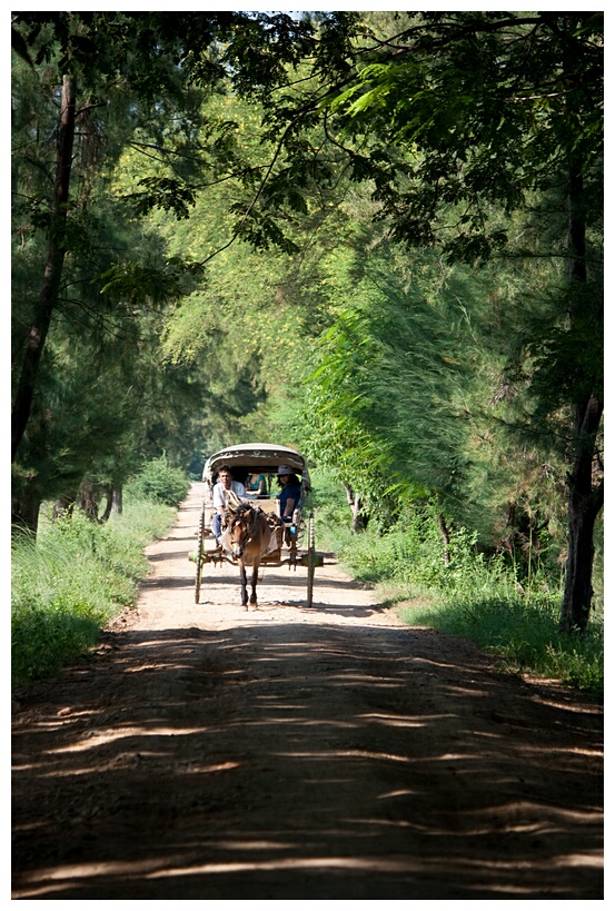 Ava Horse Cart 