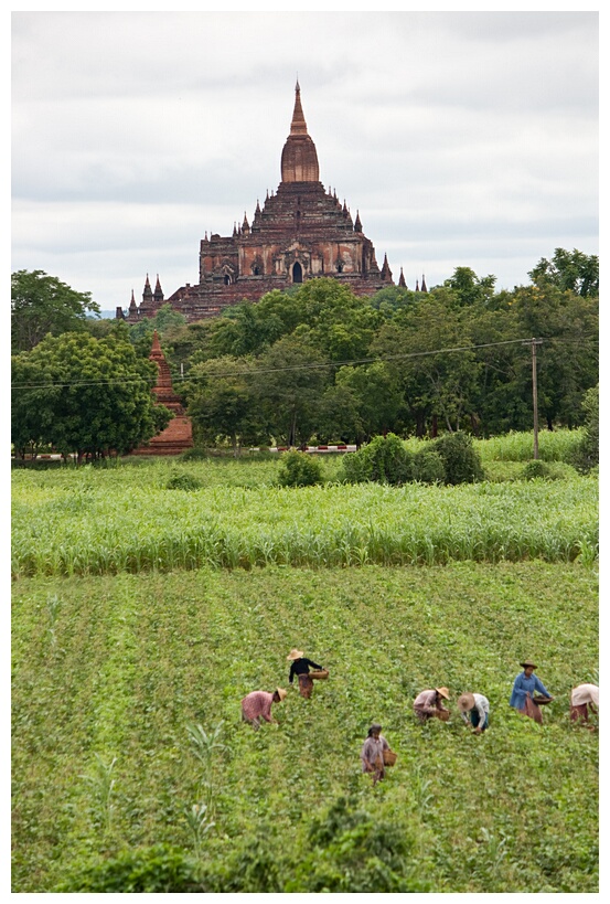 Rustic Bagan