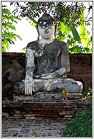 Lonely Buddha