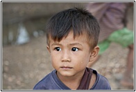 Burmese Boy