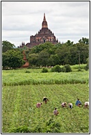 Rustic Bagan