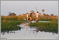 Mokoros in Okavango Delta