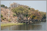 Chobe Riverfront
