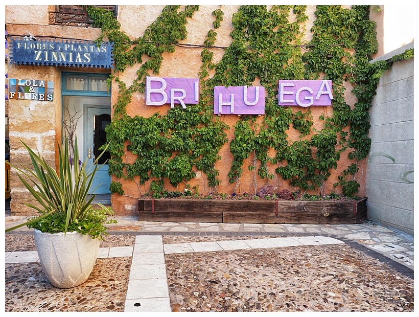 Festival de la Lavanda