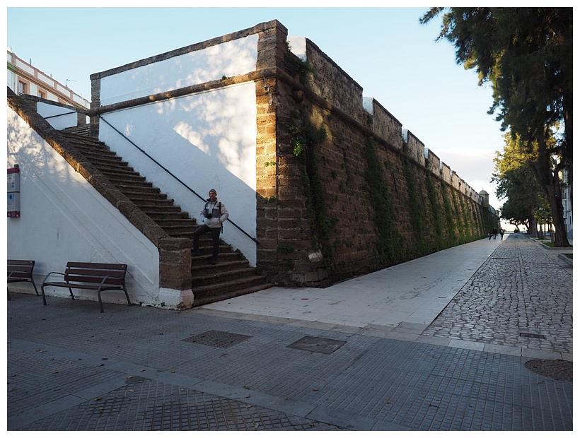 Murallas de San Carlos