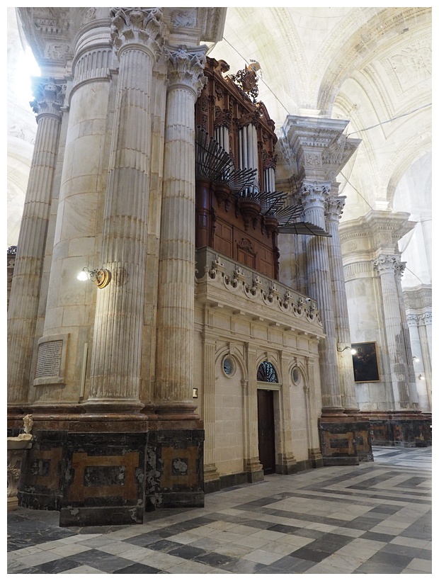 Catedral Nueva