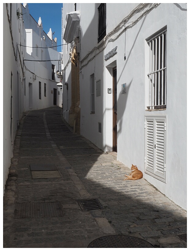 Vejer de la Frontera