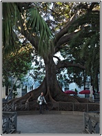 Plaza de Mina