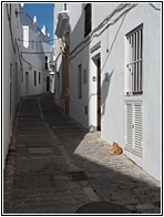 Vejer de la Frontera