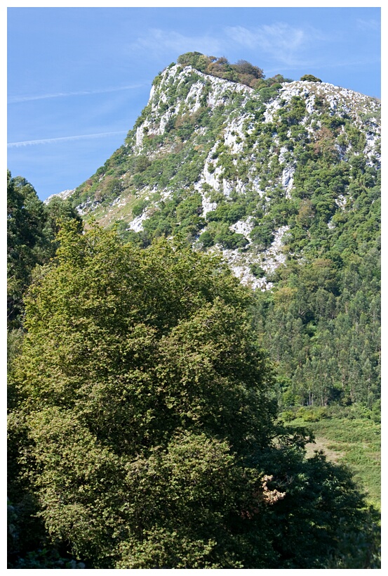 Monte del Castillo