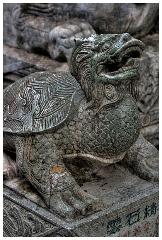 Turtle with Dragon Head