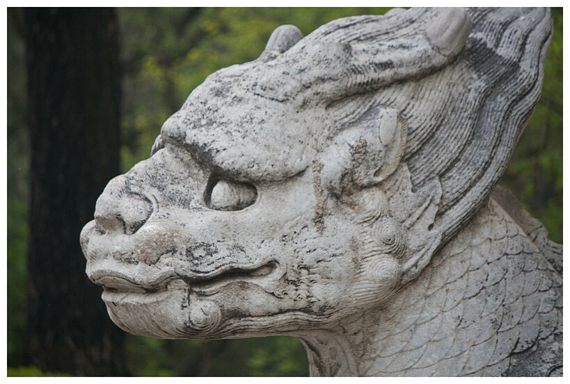 A Qilin