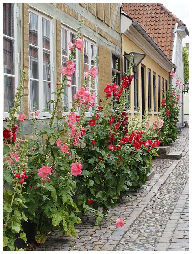Odense Street