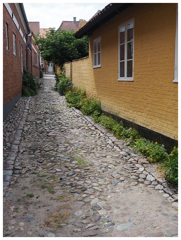 Ribe Street