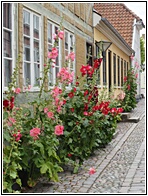 Odense Street