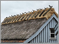 Thatched Roof 