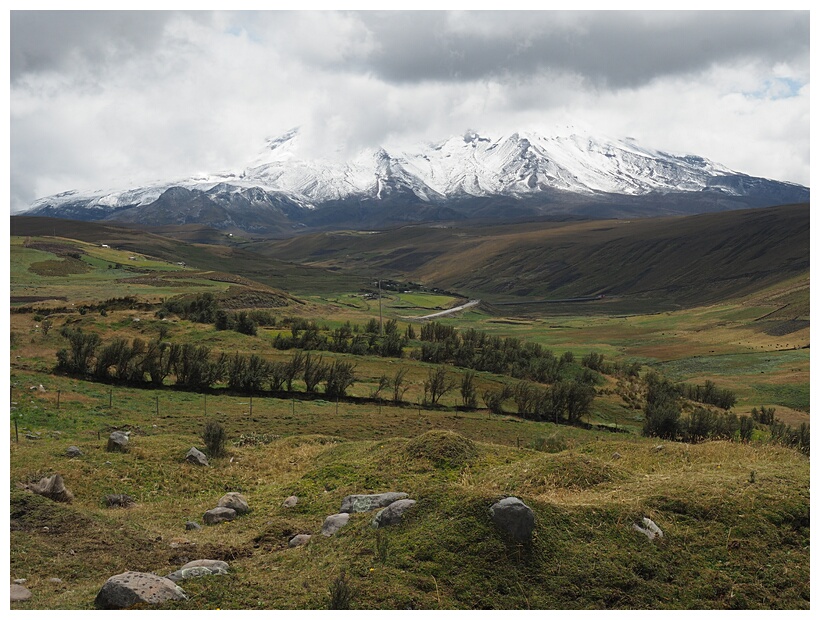 Reserva Faunstica del Chimborazo