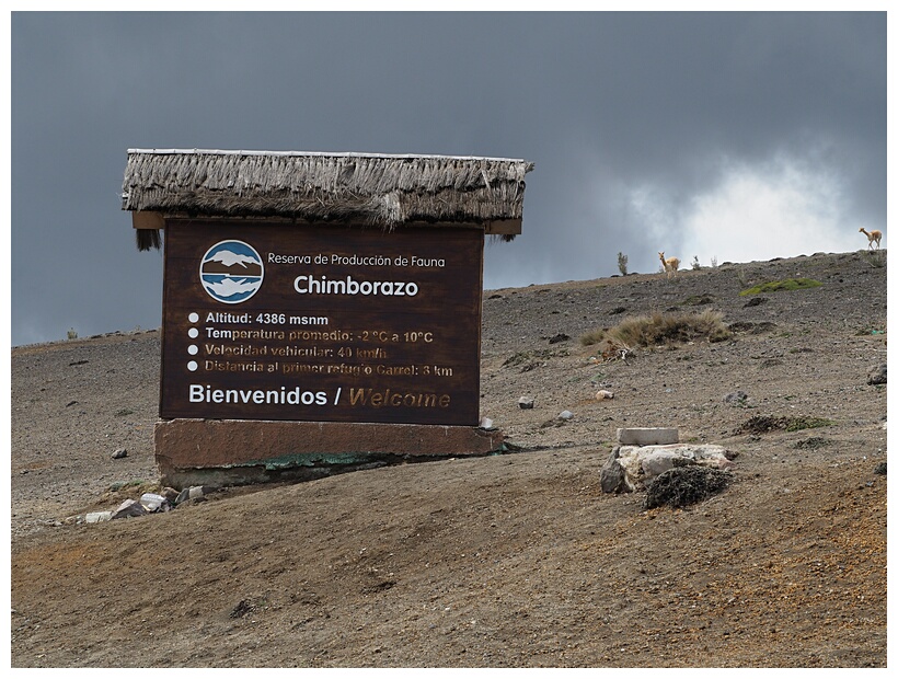 Reserva Faunstica del Chimborazo