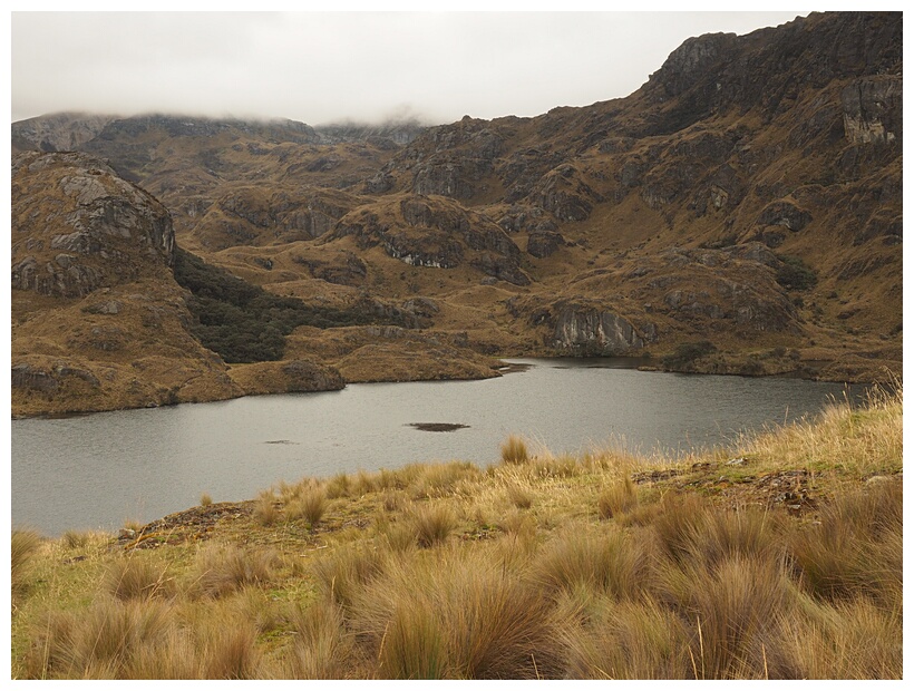 Parque Cajas