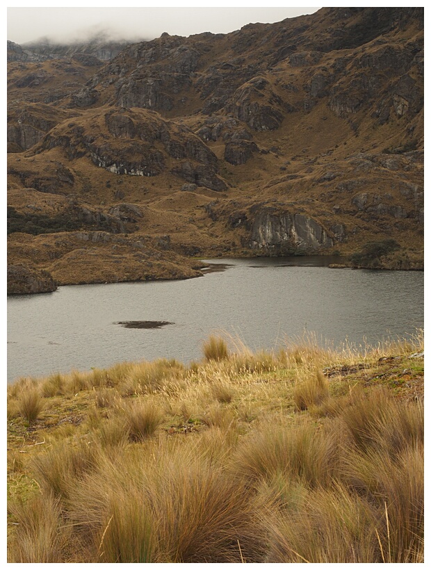 Parque Cajas