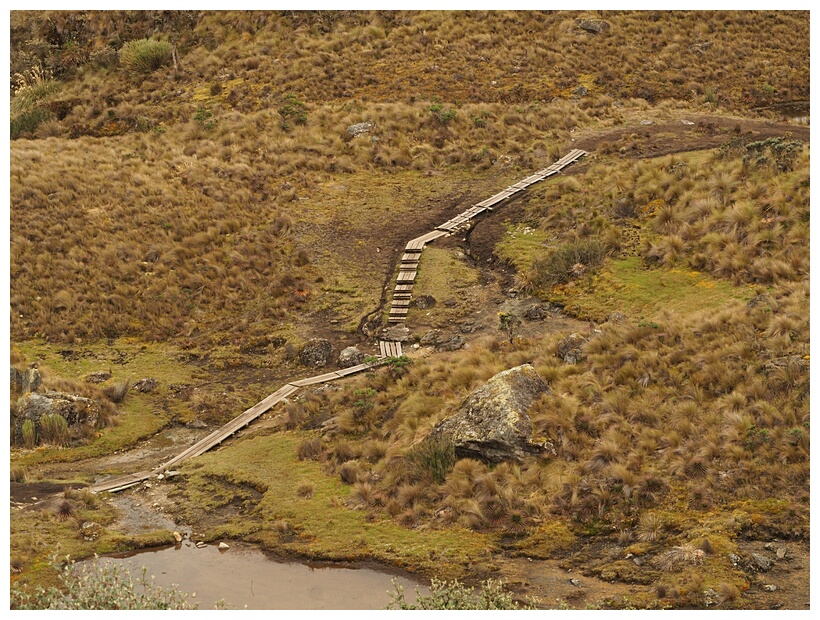 Parque Cajas