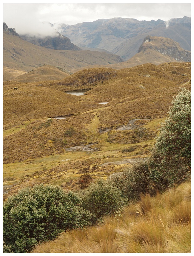 Parque Cajas