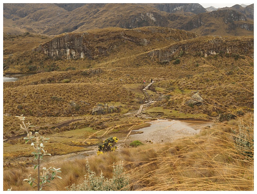 Parque Nacional Cajas