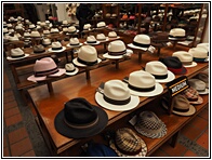 Sombreros Panam