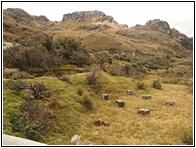 Parque Cajas